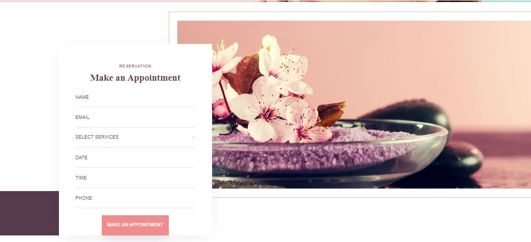 Clinet Appointment Form